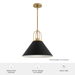 Carrington Isle One Light Pendant-Pendants-Hunter-Lighting Design Store