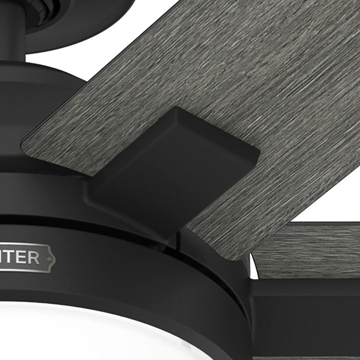 Georgetown 52"Ceiling Fan-Fans-Hunter-Lighting Design Store