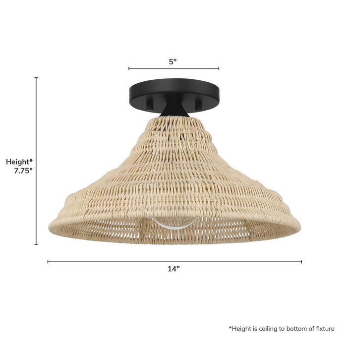 Agoura One Light Flush Mount-Semi-Flush Mts.-Hunter-Lighting Design Store