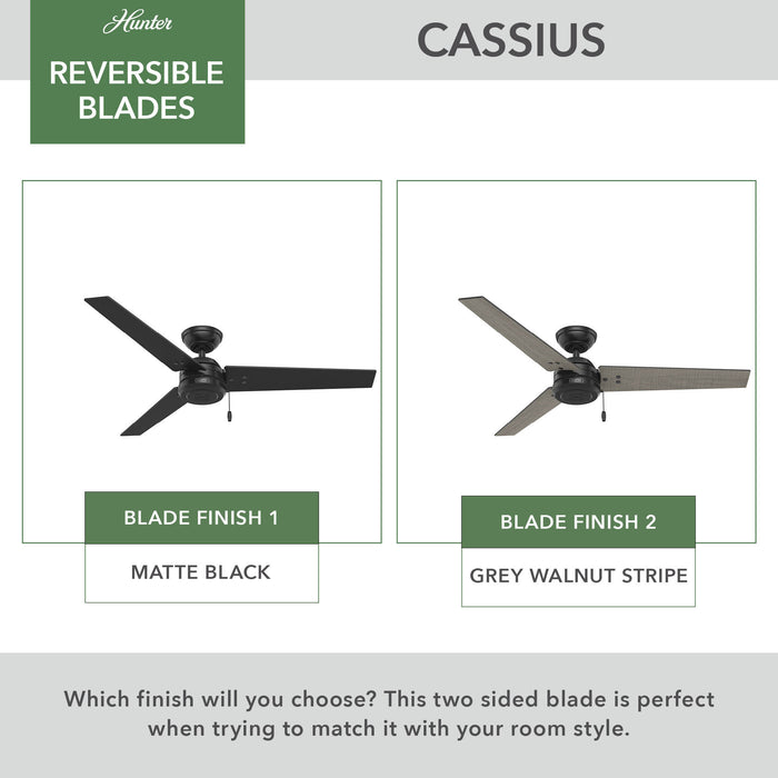 Cassius 52" Ceiling Fan-Fans-Hunter-Lighting Design Store