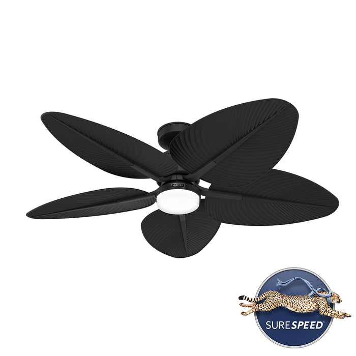 Tropic View 52"Ceiling Fan-Fans-Hunter-Lighting Design Store
