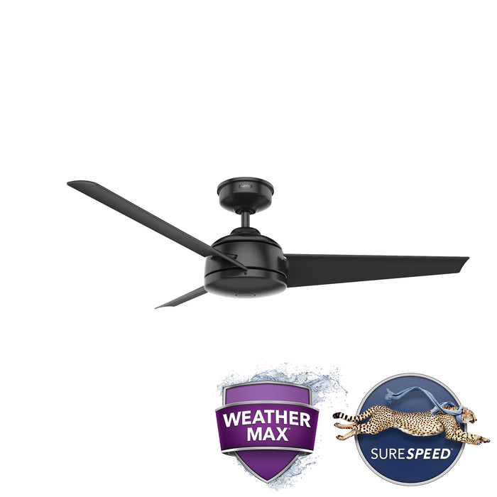 Trimaran 52" Ceiling Fan-Fans-Hunter-Lighting Design Store