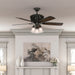 Promenade 54" Ceiling Fan-Fans-Hunter-Lighting Design Store