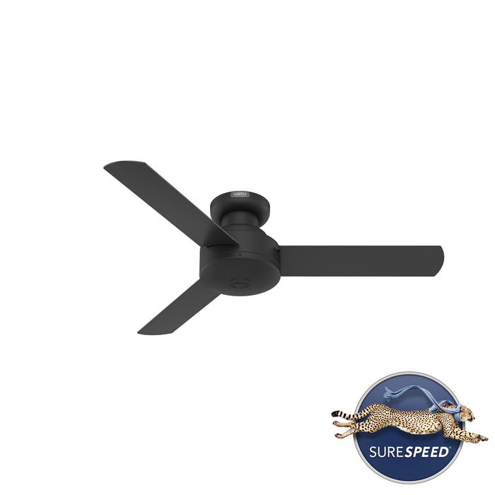 Presto 44"Ceiling Fan-Fans-Hunter-Lighting Design Store