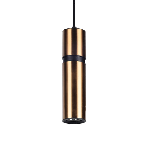 Avenue Lighting - HF1076-BBK - Pendant - Cicada - Brass / Black