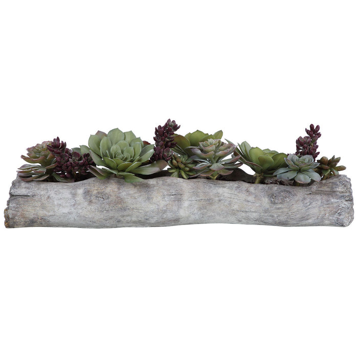 Uttermost - 60174 - Succulents - Charita - Greens And Burgundy