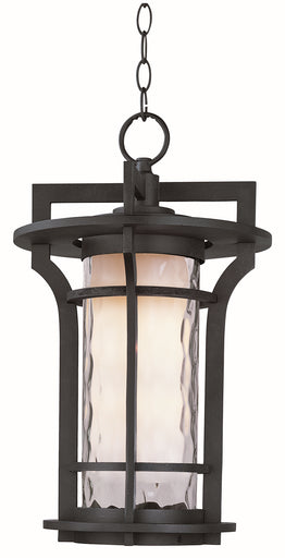Oakville LED Outdoor Hanging Lantern