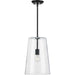 Progress Lighting - P500242-031 - One Light Pendant - Clarion - Black