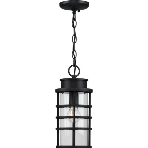Progress Lighting - P550061-031 - One Light Hanging Lantern - Port Royal - Black