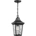 Progress Lighting - P550062-031 - One Light Hanging Lantern - Marquette - Black