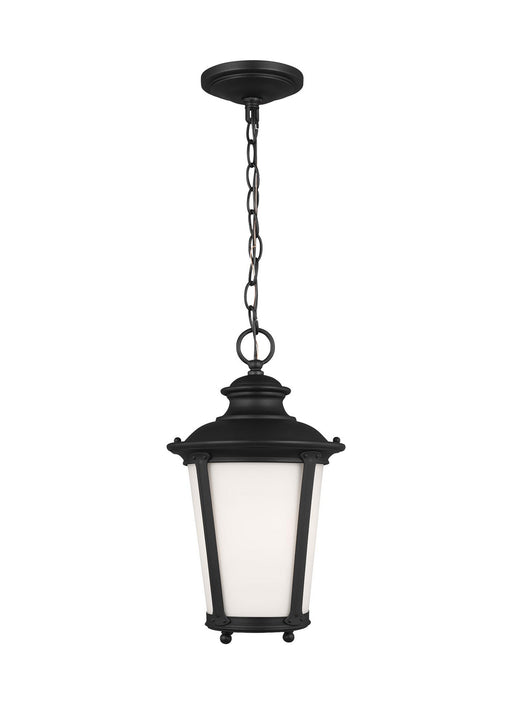 Generation Lighting - 62240EN3-12 - One Light Outdoor Pendant - Cape May - Black