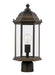 Generation Lighting - 8238651EN3-71 - One Light Outdoor Post Lantern - Antique Bronze