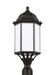 Generation Lighting - 8238751EN3-71 - One Light Outdoor Post Lantern - Antique Bronze
