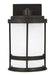 Generation Lighting - 8590901DEN3-71 - One Light Outdoor Wall Lantern - Antique Bronze