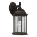 Generation Lighting - 8938701-71 - One Light Outdoor Wall Lantern - Sevier - Antique Bronze
