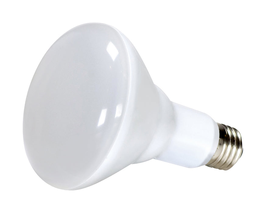Satco - S11420 - Light Bulb - Frosted