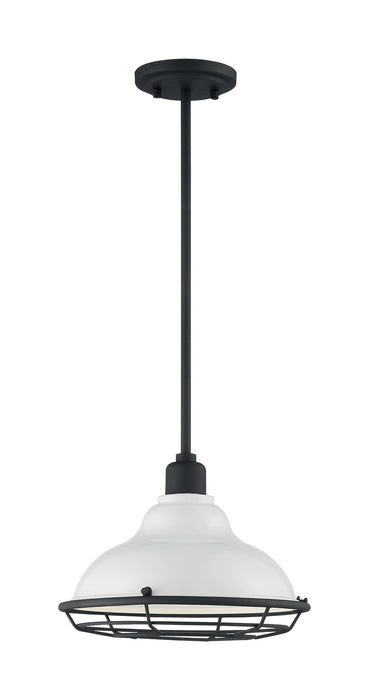 One Light Pendant-Exterior-Nuvo Lighting-Lighting Design Store