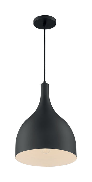 One Light Pendant-Pendants-Nuvo Lighting-Lighting Design Store
