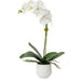 Uttermost - 60178 - Orchid - Cami Orchid - Textured White
