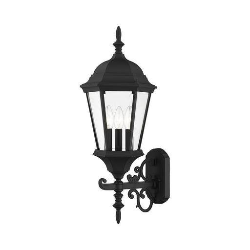 Livex Lighting - 7561-14 - Three Light Outdoor Wall Lantern - Hamilton - Textured Black