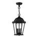 Livex Lighting - 7564-14 - Three Light Outdoor Pendant - Hamilton - Textured Black