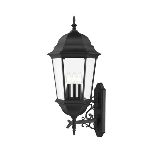 Livex Lighting - 7566-14 - Three Light Outdoor Wall Lantern - Hamilton - Textured Black