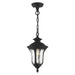 Livex Lighting - 7849-14 - One Light Outdoor Pendant - Oxford - Textured Black