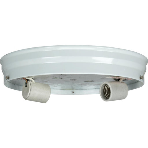 Two Light Ceiling Pan White