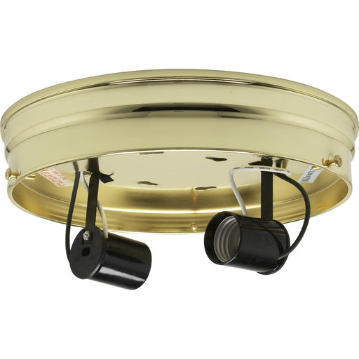 Two Light Ceiling Pan Brass