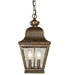 Meyda Tiffany - 118039 - Two Light Pendant - Palmer - Antique