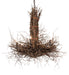Meyda Tiffany - 226214 - Six Light Chandelier - Twigs - Bronze,Natural Wood