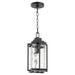 Quorum - 7022-69 - One Light Pendant - Domus - Noir