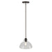 Forte - 2734-01-40 - One Light Pendant - Della - Black and Brushed Nickel