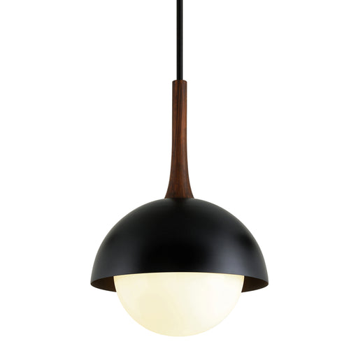 Troy Lighting - F7646 - One Light Pendant - Cadet - Black And Natural Acacia