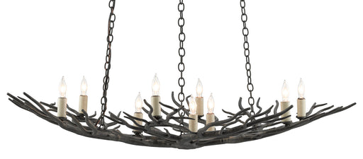 Currey and Company - 9000-0555 - Nine Light Chandelier - Rustic Bronze