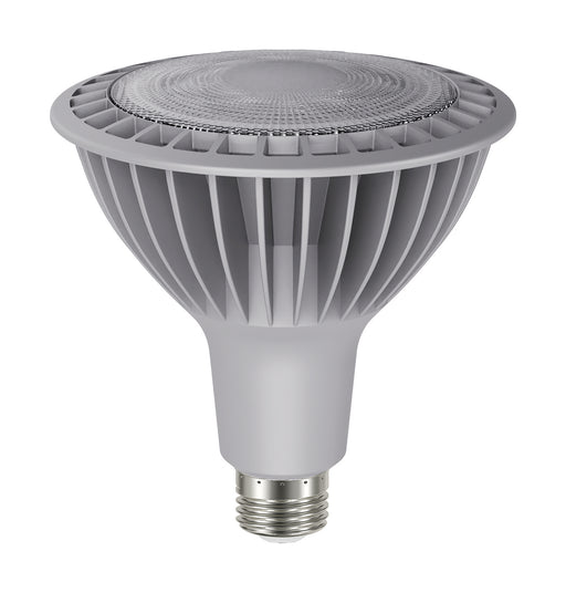 Satco - S22250 - Light Bulb - Silver