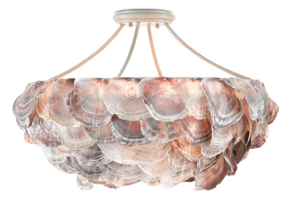 Currey and Company - 9000-0755 - Six Light Chandelier - Smokewood/Natural Shell