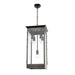 Douglas Pendant-Foyer/Hall Lanterns-Alora-Lighting Design Store