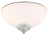 Wind River Fan Company - KG250PBN - LED Outdoor Light Kit - Light Kit - Painted Brushed Nickel