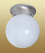 Capital Lighting - 5569MN - One Light Flush Mount - Independent - Matte Nickel