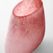 Cyan - 10881 - Vase - Pink