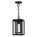 CWI Lighting - 0415P7-1-101 - One Light Outdoor Hanging Pendant - Mulvane - Black