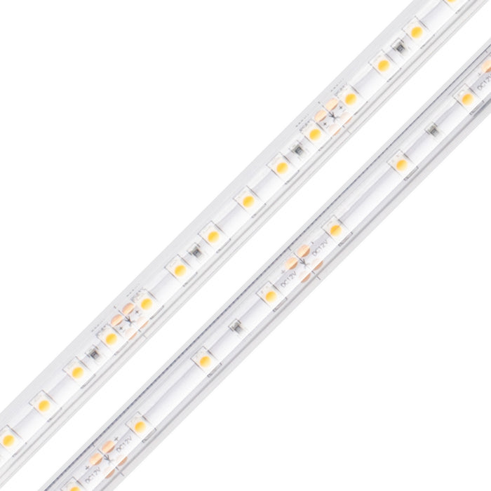 Diode LED - DI-12V-BLBSC1-27-W100 - Strip Light