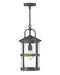 Hinkley - 2682DZ-LV - LED Hanging Lantern - Lakehouse - Aged Zinc