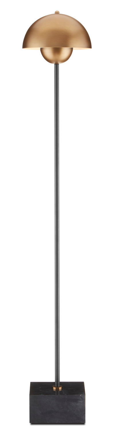 Currey and Company - 8000-0095 - One Light Floor Lamp - La - Brushed Brass/Black