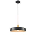 DVI Lighting - DVP46420GR+BR - One Light Pendant - Daisy - Graphite and Brass