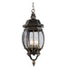 Trans Globe Imports - 4066 BG - Three Light Hanging Lantern - Parsons - Black Gold