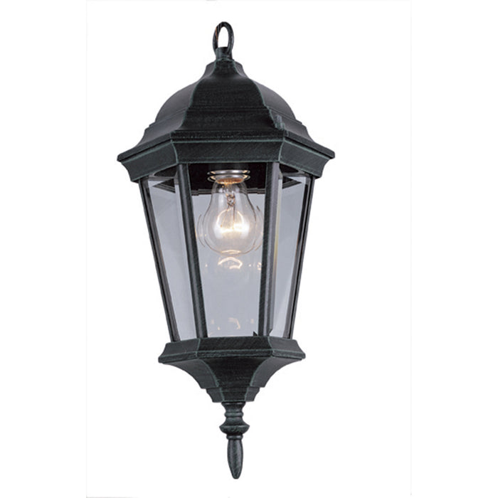 Trans Globe Imports - 4097 BG - One Light Hanging Lantern - San Rafael - Black Gold