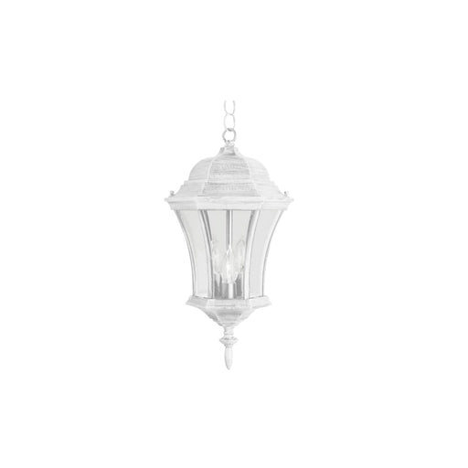 Trans Globe Imports - 4505 WH - Three Light Hanging Lantern - Burlington - White