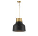 Meridian - M70115MBKNB - One Light Pendant - Matte Black w/Natural Brass